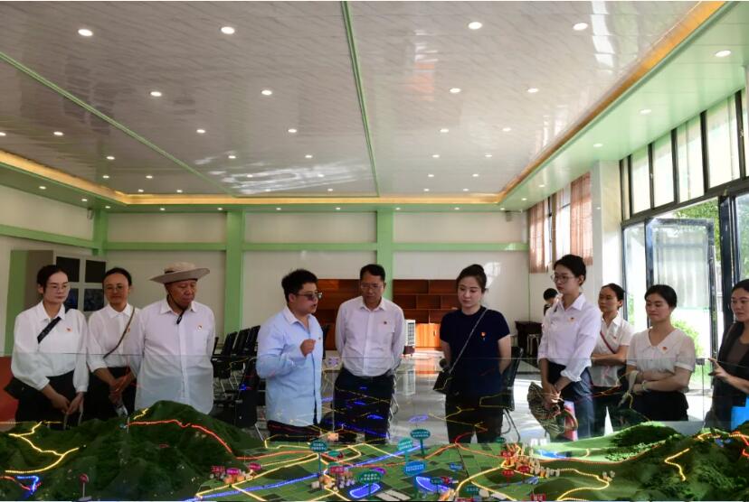 1730690229112015236.jpg 000.jpg