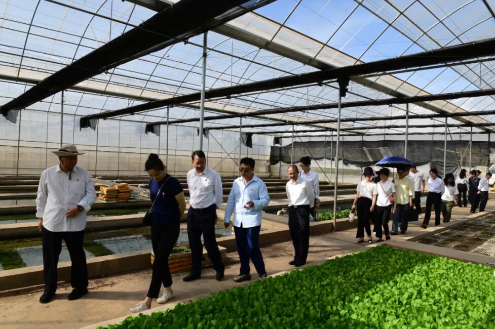 1730690246100009538.jpg 111.jpg